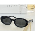 Imitation Cheap Celine Sunglasses Top Quality CES00037 Tl5653fV17