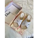 Imitation Dior Shoes Dior695LRF-3 Tl10850EY79