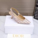 Imitation Dior Shoes DIS00021 Heel 6.5CM Shoes Tl10257Oz49