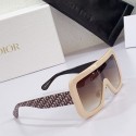 Imitation Dior Sunglasses Top Quality DIS00512 Tl11970KV93