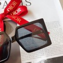 Imitation Dior Sunglasses Top Quality DIS00952 Sunglasses Tl11530Nj42