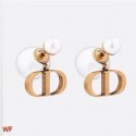 Replica Best Quality Dior Earrings CE6194 Tl9811Rf83