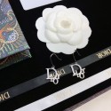 Replica Cheap Dior Earrings CE8894 Tl9396QC68