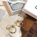 Replica Dior Earrings CE5183 Tl9965Fi42