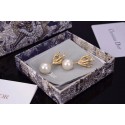 Replica Dior Earrings CE5437 Tl9927XB19