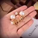 Replica Dior Earrings CE6504 Tl9736hD86