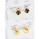 Replica Dior Earrings CE7298 Tl9588TN94