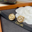 Replica Dior Earrings CE8148 Tl9471Ac56