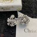 Replica Dior Earrings CE8703 Tl9405DY71