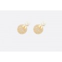 Replica Dior Earrings CE9495 Tl9329Yn66