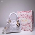 Replica Dior lucky badges Original sheepskin Tote Bag A88035 white Tl9235Fi42