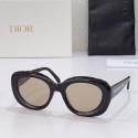 Replica Dior Sunglasses Top Quality DIS00157 Sunglasses Tl12325DY71