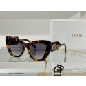 Replica Dior Sunglasses Top Quality DIS00348 Tl12134UD97