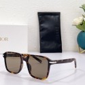 Replica Dior Sunglasses Top Quality DIS00799 Tl11683Ix66