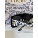 Replica Dior Sunglasses Top Quality DIS01024 Sunglasses Tl11458Vi77