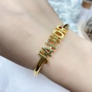 Dior Bracelet CE7860 Tl9520FA31