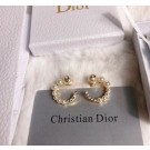 Dior Earrings CE6349 Tl9786FT35