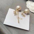 Dior Earrings CE6357 Tl9782dw37