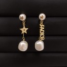 Dior Earrings CE7859 Tl9521zd34