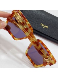 AAAAA Celine Sunglasses Top Quality CES00227 Tl5463aM93