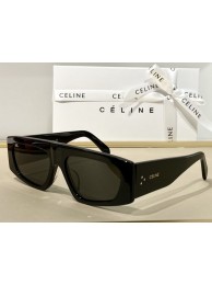 Celine Sunglasses Top Quality CES00076 Sunglasses Tl5614Zf62