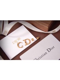 Copy 1:1 Dior Earrings CE6472 Tl9768xD64