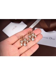 Copy Dior Earrings CE6045 Tl9845Ey31