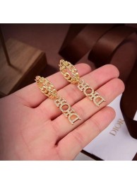 Copy Dior Earrings CE7102 Tl9627Zn71