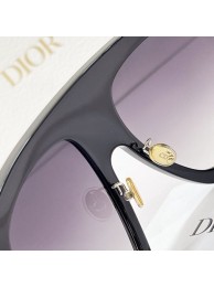 Copy Dior Sunglasses Top Quality DIS00800 Tl11682Kn92