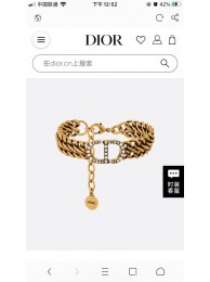 Dior Bracelet CE7703 Tl9539hk64