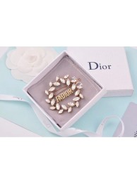 Dior Brooch CE4805 Tl10022Zw99