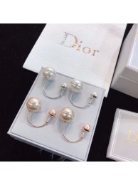 Dior Earrings CE4802 Tl10025UM91