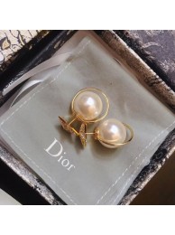 Dior Earrings CE4896 Tl10012UF26