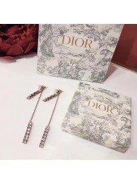 Dior Earrings CE4897 Tl10011vm49