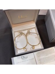 Dior Earrings CE5012 Tl10004oK58