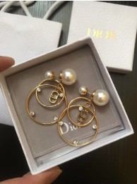 Dior Earrings CE5013 Tl10003sY95