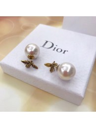 Dior Earrings CE5136 Tl9977yj81