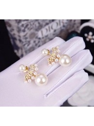 Dior Earrings CE5229 Tl9961De45