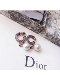 Dior Earrings CE5363 Tl9935Zr53