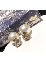 Dior Earrings CE5628 Tl9904hk64