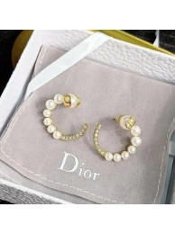 Dior Earrings CE6070 Tl9828qB82