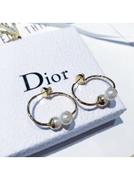 Dior Earrings CE6247 Tl9808Ri95