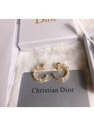 Dior Earrings CE6349 Tl9786FT35