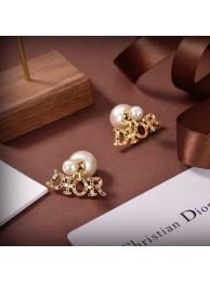 Dior Earrings CE6417 Tl9777TL77