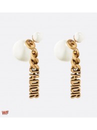 Dior Earrings CE6467 Tl9773lq41