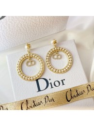 Dior Earrings CE6477 Tl9763pA42