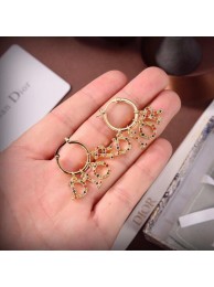 Dior Earrings CE6481 Tl9759bm74