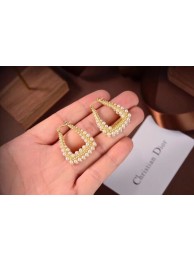 Dior Earrings CE6497 Tl9740Kd37