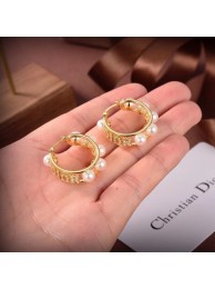 Dior Earrings CE6556 Tl9727wn15