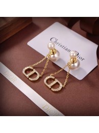 Dior Earrings CE6683 Tl9700Lp50